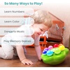 image:imageBEST LEARNING Mushroom Garden  Interactive Educational LightUp Toddler Toys for 1 to 3 Years Old Toddlers  Colors Numbers Games amp Music for Kids  Ideal Baby Toy Birthday Gift