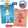 image:imageBEST LEARNING iPoster My Periodic Table  Interactive Talking Periodic Table for Kids Ages 814 to Learn Elements Symbols amp Atomic Facts Through Sound and Quiz PlayMy Body