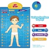 image:imageBEST LEARNING iPoster My Periodic Table  Interactive Talking Periodic Table for Kids Ages 814 to Learn Elements Symbols amp Atomic Facts Through Sound and Quiz PlayMy Body