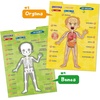 image:imageBEST LEARNING iPoster My Periodic Table  Interactive Talking Periodic Table for Kids Ages 814 to Learn Elements Symbols amp Atomic Facts Through Sound and Quiz PlayMy Body